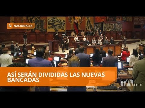 La Asamblea Nacional se reúne para integra comisiones legislativas - Teleamazonas