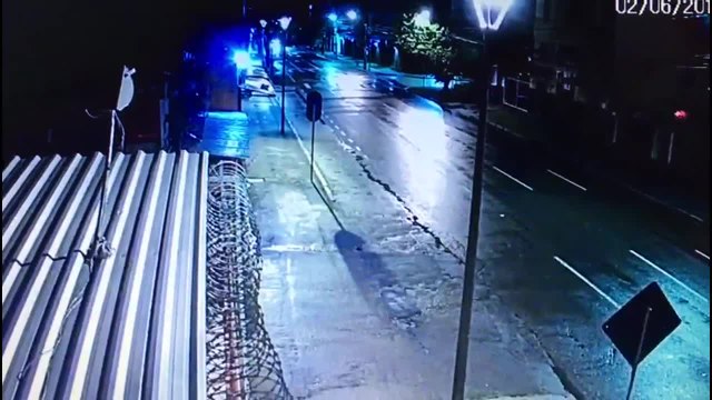 Câmera flagra abandono de gatos em Curitiba