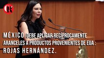 México debe aplicar recíprocamente aranceles a productos provenientes de EUA : Rojas Hernández.