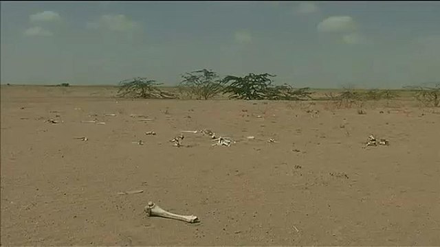 Сколько будет стоить изменение климата?