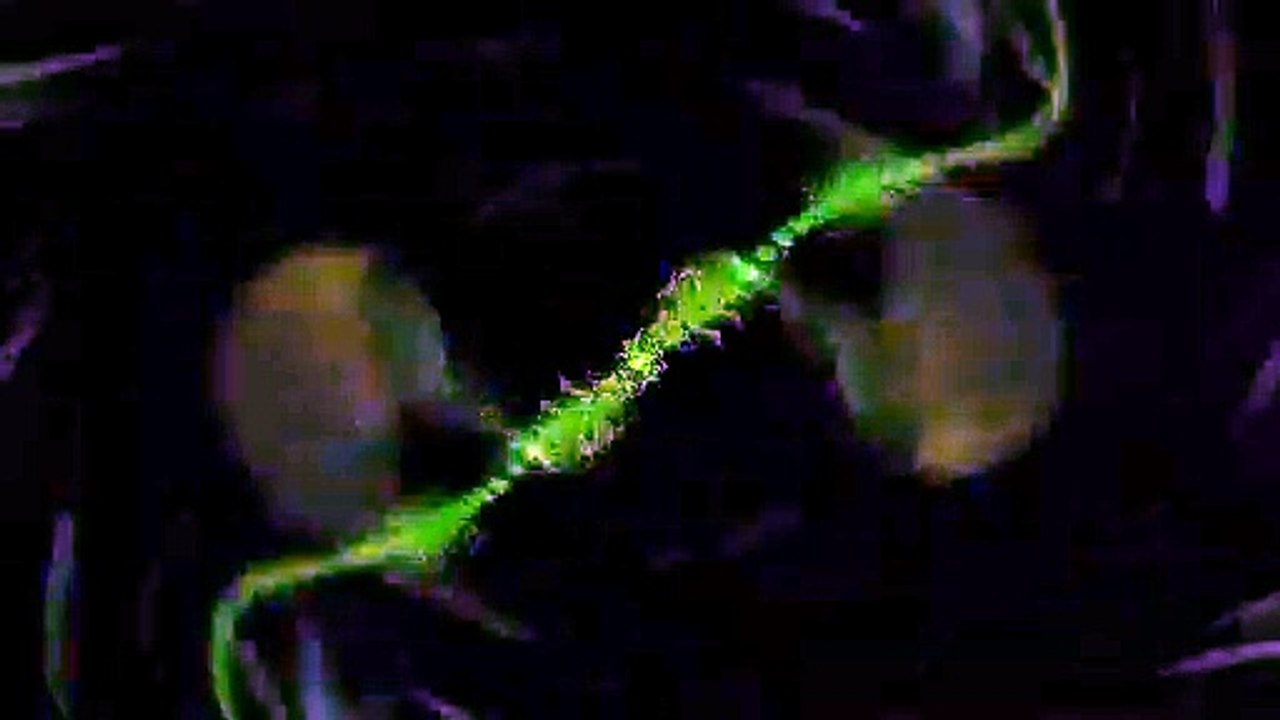 Dj Feedback - Broken Wings