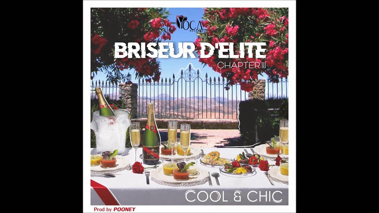 Briseur D'élite - Cool & Chic (Audio) Prod by Pooney