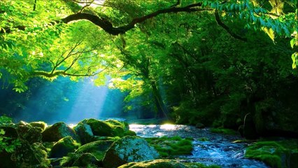 Oração da noite! Vencendo as afliçoes!