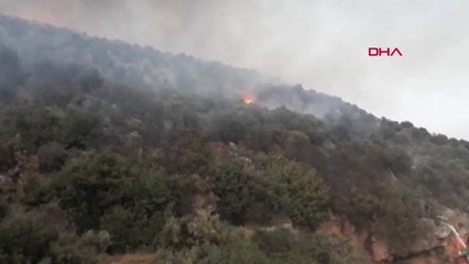 ANTALYA Finike'de orman yangını