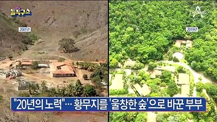 “20년의 노력”…황무지를 ‘울창한 숲’으로 바꾼 부부
