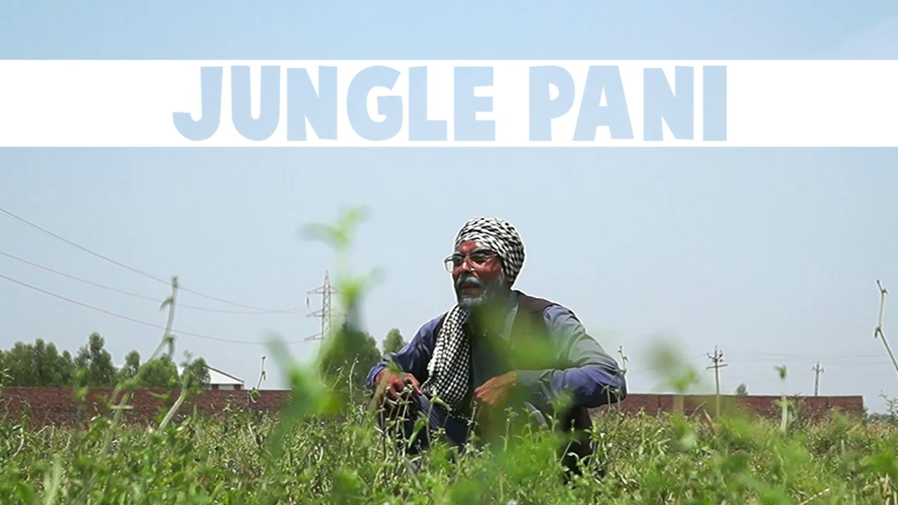 Jungle Pani