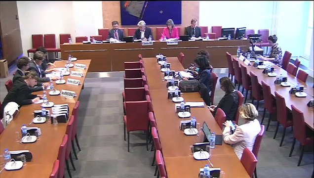 Commission d'enquête sur l'inclusion des élèves handicapés : Auditions diverses - Mardi 4 juin 2019