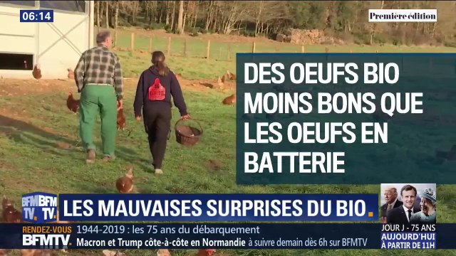 Oeufs, pâtisseries... Les mauvaises surprises de certains produits bio, parfois moins bons pour la santé