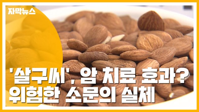 [자막뉴스] '살구씨', 암 치료 효과?...위험한 소문의 실체 / YTN