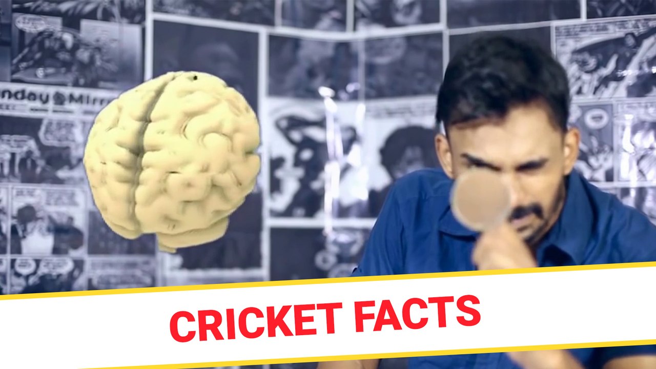 Cricket facts