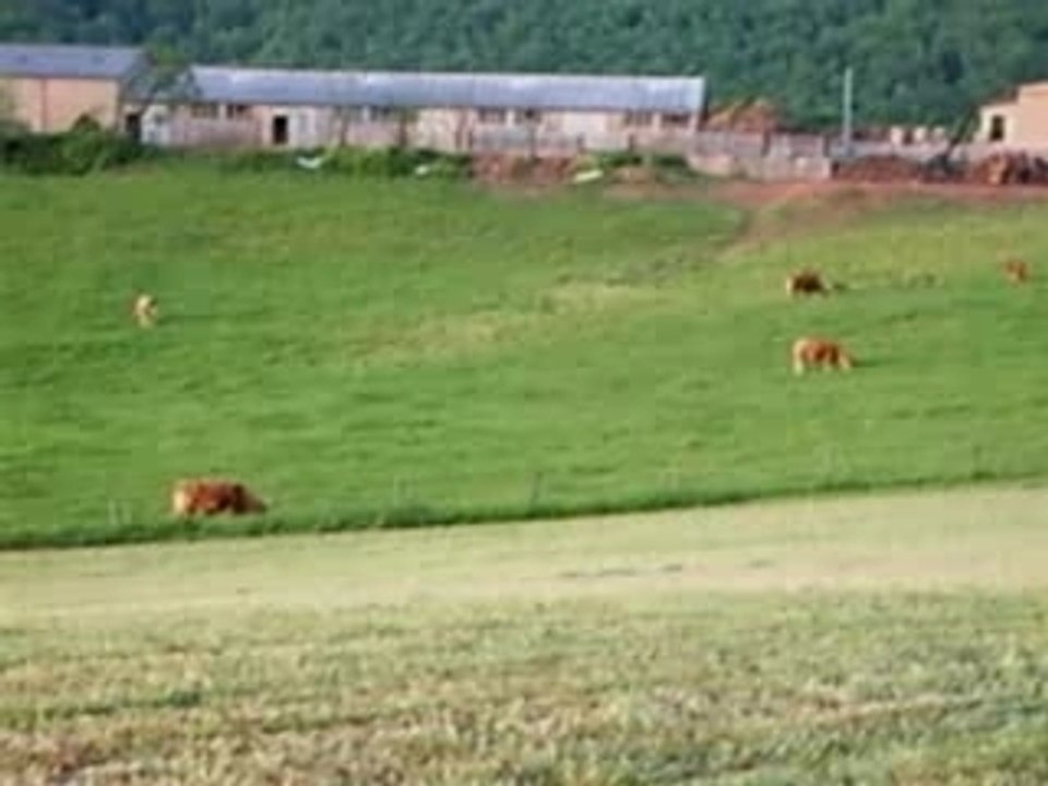 Freestyle moto cross ça déménage