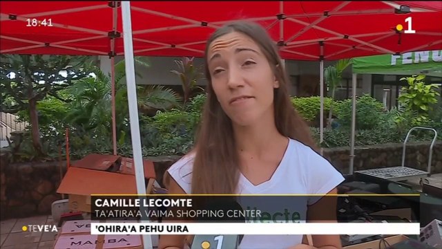 TH : Déchets électroniques : le recyclage s’organise