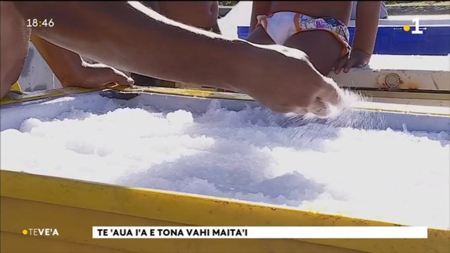 TH : A la découverte des parcs à poissons de Tikehau