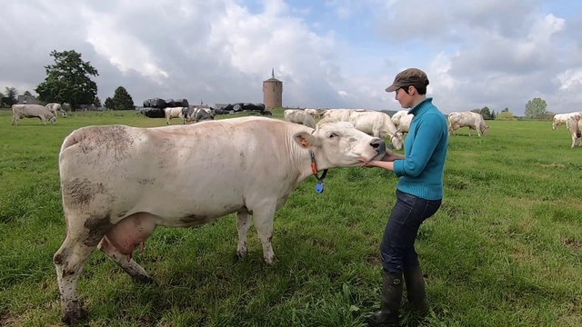 Seul le beurre à la saveur du beurre...