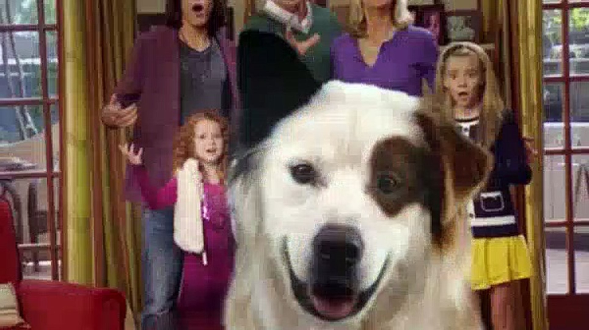 ⁣Dog With A Blog S02E09 - Avery B. Jealous