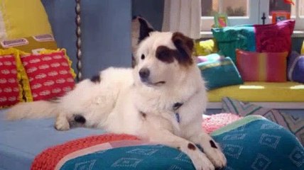 Dog With A Blog S02E10 - Love Ty-Angle