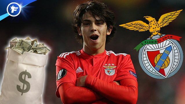Matthijs de Ligt a cinq propositions, le Benfica a reçu trois offres à 120 M€ pour João Félix