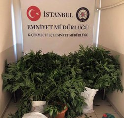 Hint keneviri yetiştirmek için oto yıkamacıya özel sistem kurdu