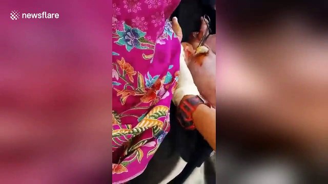 Pregnant woman goes into labour and gives birth on a speedboat off Thailand