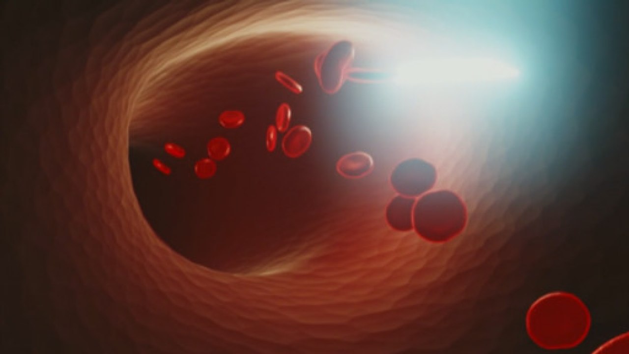 Quais as funções do sangue?