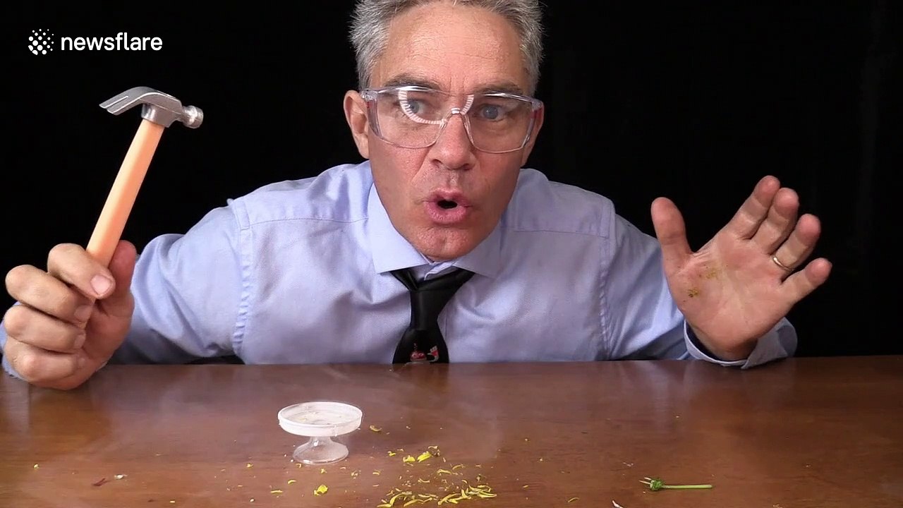 Aussie scientist uses tiny equipment and liquid nitrogen to create amazing experiments