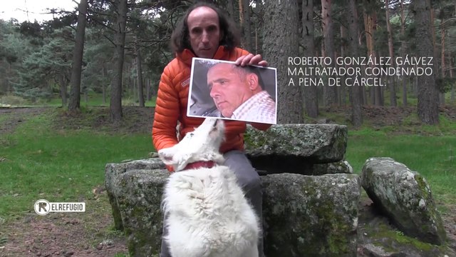 El Refugio aplaude decisión de la Audiencia de condenar maltrato animal