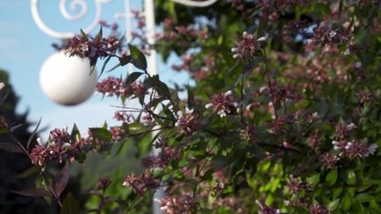 PATRON MXGP of Russia 2019 - Postcard