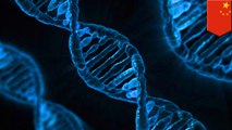 CRISPR gene-edited babies may have shorter lives
