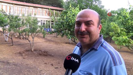 Kümes hayvanlarına iki katlı ev yaptırdı