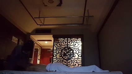 경산출장안마-{ 카톡jk675 }  ⊀Ö1Ô-3305-4750⊁경산출장마사지'20대'경산출장안마출장안마코스경산출장안마경산출장마사지-황제경산출장마사지-경산콜걸.