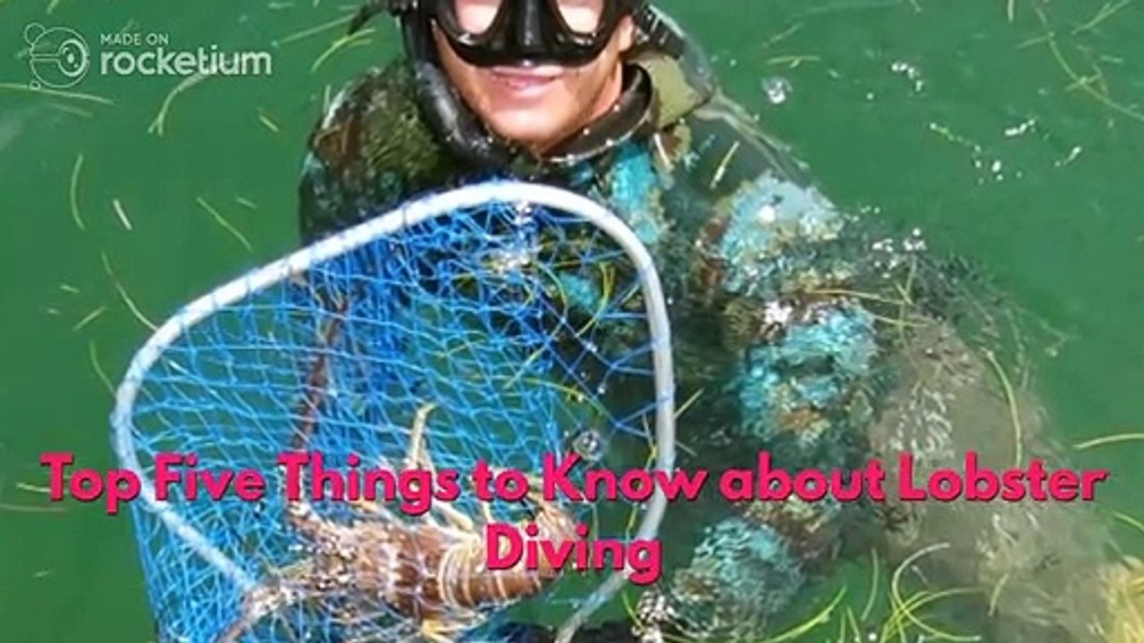 Top Five Things to Know about Lobster Diving