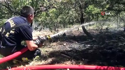 Mesire alanında yangın paniği