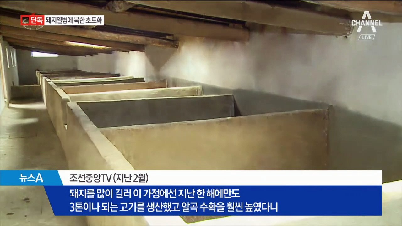 [단독]북한 휩쓴 아프리카 돼지열병…“황해도·강원도 심각”