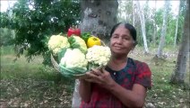 Village Aliments  chou-fleur Ragoût préparé dans mon Village par ma Maman