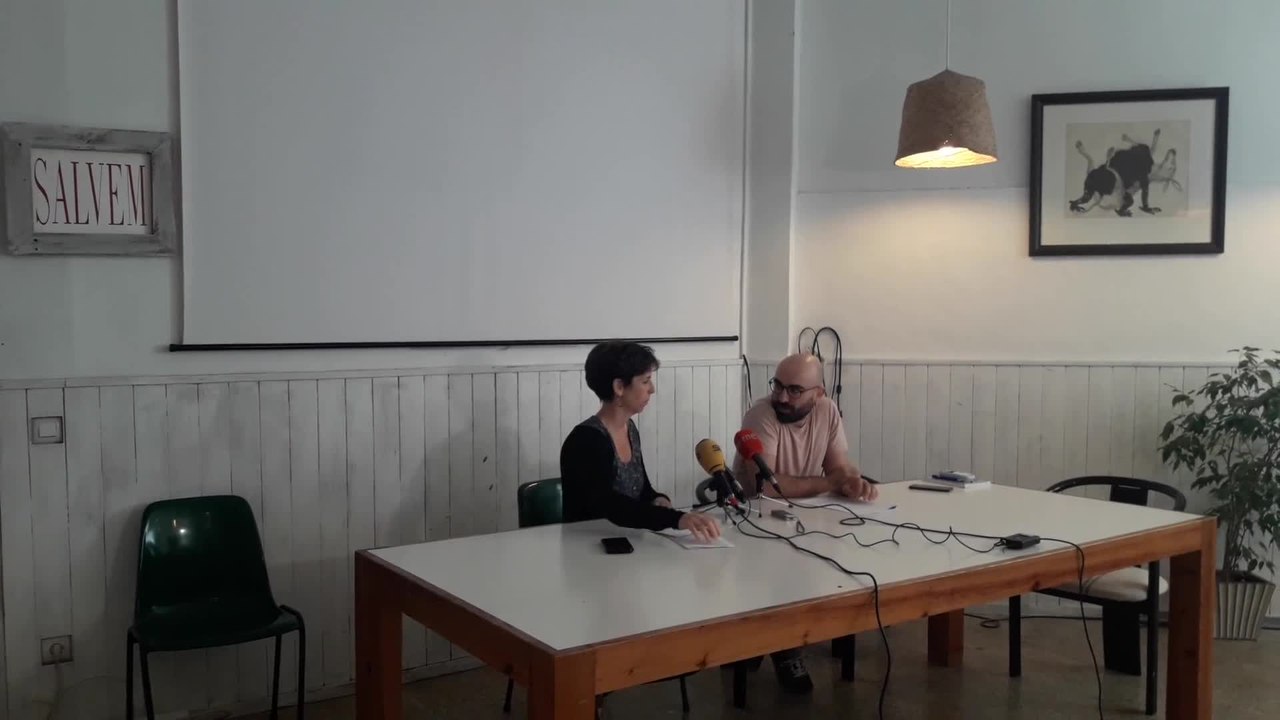 El GOB pide al Govern paralizar las obras en carreteras y regular el turismo de cruceros
