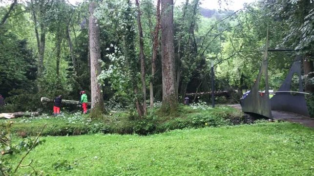 Dégâts au parc de Nismes (Viroinval) suite à la tempête du 4 juin 2019