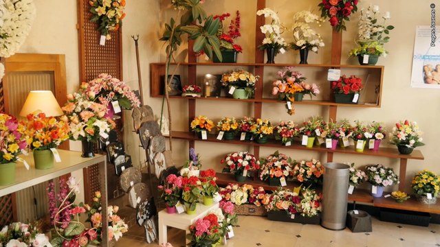 Pompes Funèbres Meurdra à Dijon et Saint Apollinaire