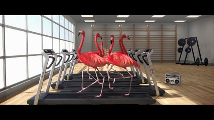 Bande-annonce Très Court International Film Festival 2019