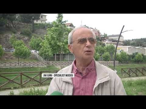 Plastika mbulon plazhet/ Lumenjtë nxjerrin në bregdetin e Shëngjinit mbetjet urbane