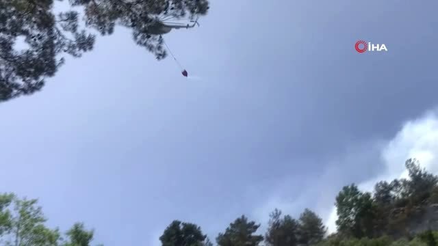 Akseki'de çıkan orman yangınında 2 hektarlık tarım arazisi ve bozuk çam ormanı zarar gördü