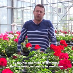 FIRMINY VILLE FLEURIE