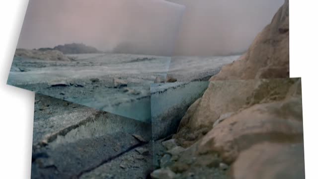 El Jardín Botánico de Madrid abre sus puertas a La sombra incisa de Javier Vallhonrat