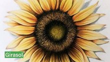 APRENDIENDO SOBRE COLORES