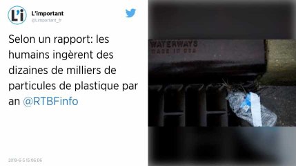 Plastique. Des dizaines de milliers de particules ingérées par l’homme chaque année, dévoile un rapport