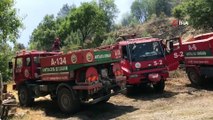 Akseki'de çıkan orman yangınında 2 hektarlık tarım arazisi ve bozuk çam ormanı zarar gördü