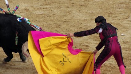 Un toro fugge da un camion e si lancia contro la folla