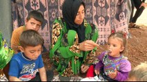 Syria's war: Displaced and hungry in Idlib makeshift camp