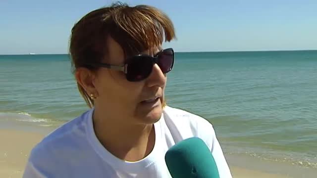 Voluntarios regeneran las dunas de El Saler y limpian la playa de plásticos