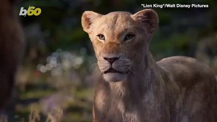 Vacation Like You Are in a Movie at These Airbnbs