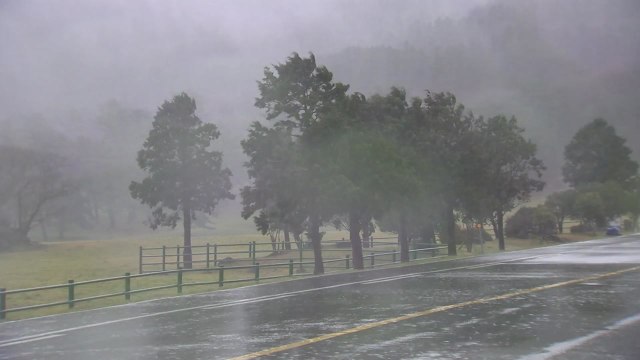 [날씨] 불볕더위가 부른 호우...또 태풍급 비바람 / YTN